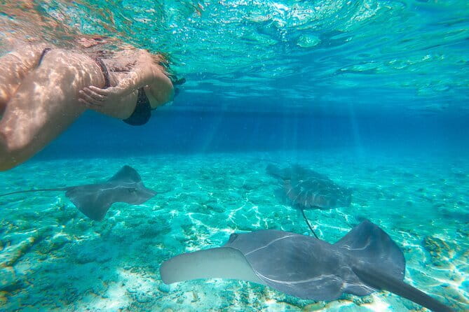 Shared Trip Sailing Komodo 3D2N - What to pack and when to book