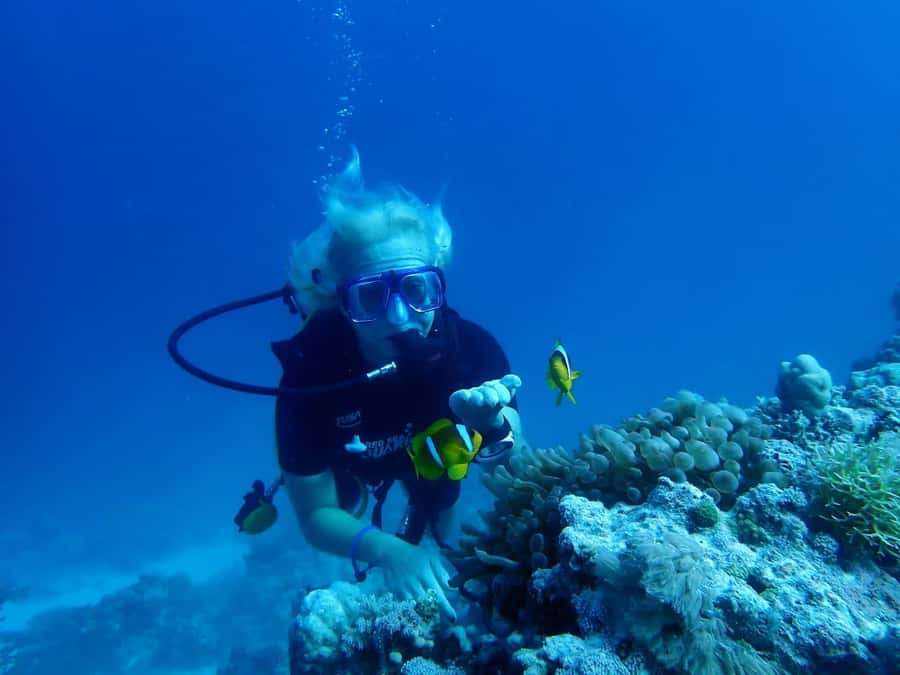 Sharm El Sheikh: Day sail to White island and Ras Mohamed - First snorkel stop: coral, fish, and a guided swim