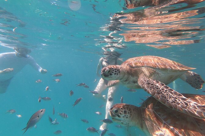 Shasa Catamaran Cruises Limited Numbers 3 Hour Sail and Snorkel - A Small Catamaran Outing Along Barbados’ West Coast