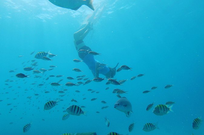Shasa Catamaran Cruises Limited Numbers 3 Hour Sail and Snorkel - Why Captain Jason and First Mate Keon Matter