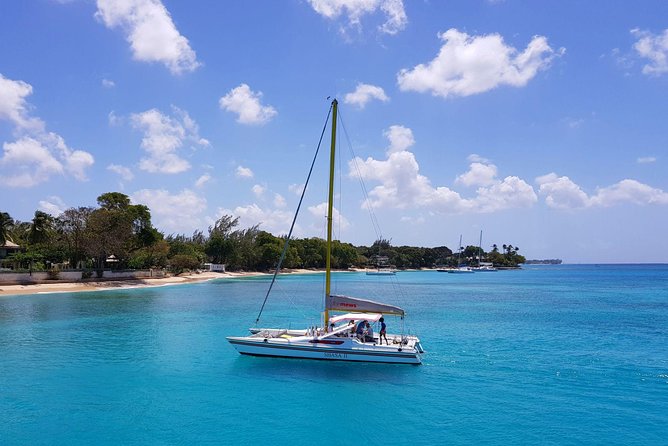 Shasa private catamran sailing cruise, Snorkel with turtles. - Key points to know before booking
