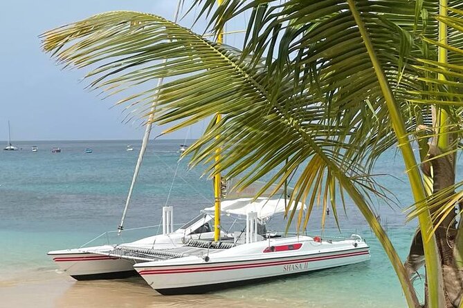Shasa private catamran sailing cruise, Snorkel with turtles. - Is three hours enough?