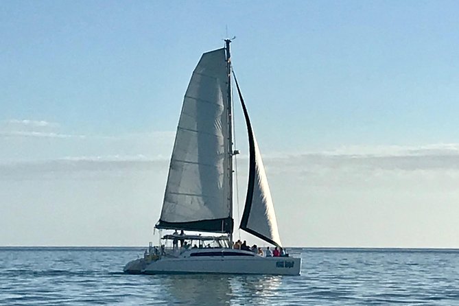Sightseeing and Sunset Catamaran Sailing Excursion - Swimming and shelling at a secluded beach