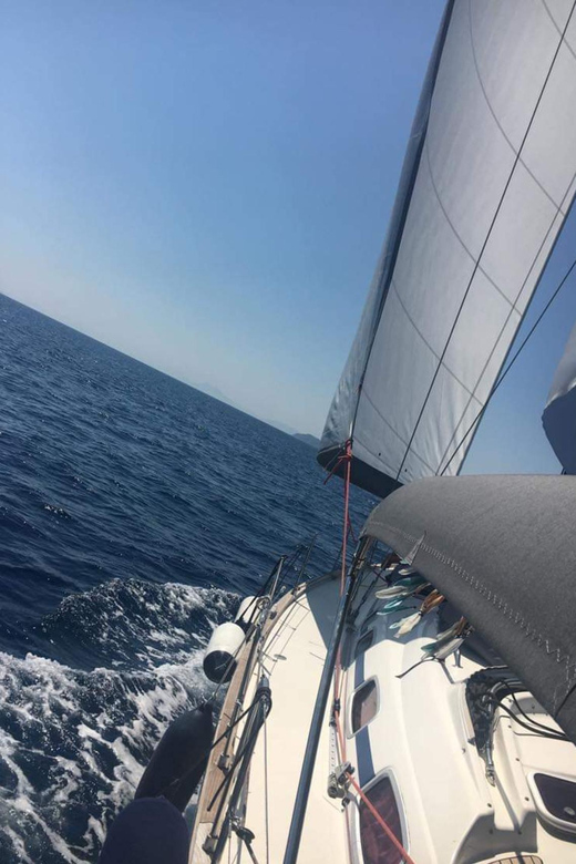 Skiathos: day sailing trip with swim stops and lunch - Lunch with seafood, salad, fruit, and local touches