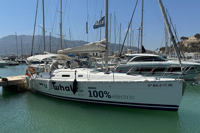 Small Group Dolphin Sunset Tour on Electric Sailing Boat Denia - Setting out from Dénia for a quiet evening on the sea