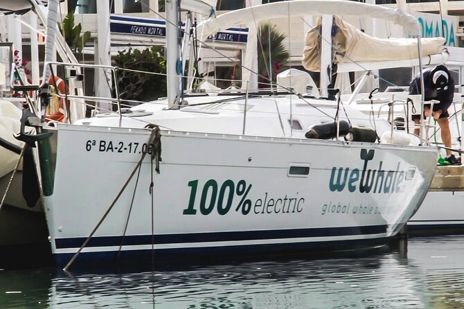 Small Group Dolphin Sunset Tour on Electric Sailing Boat Denia - Sunset views, wildlife hopes, and realistic expectations