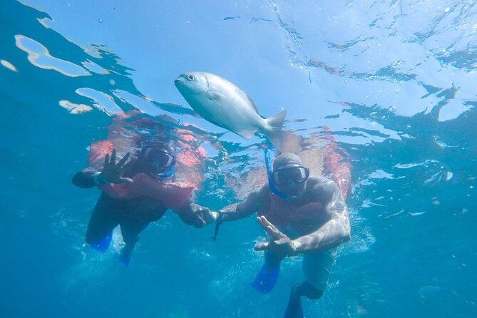 Snorkel in Luxury Sailing Boat + Food and Premium drink! - Lunch, snacks, and premium drinks