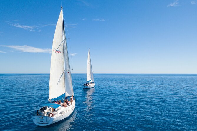 Snorkel in Luxury Sailing Boat + Food and Premium drink! - What the praise points to