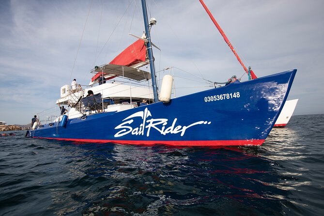 Snorkel, Lunch & Sail in Cabo San Lucas - A morning departure from Cabo Marina