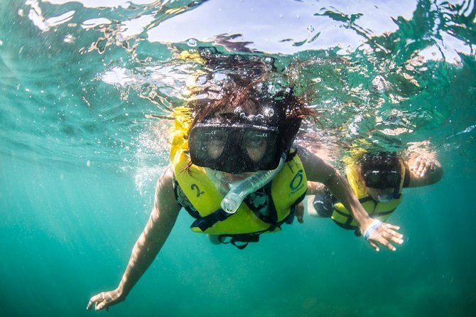 Snorkel, Lunch & Sail in Cabo San Lucas - Should you book Snorkel, Lunch & Sail in Cabo San Lucas?