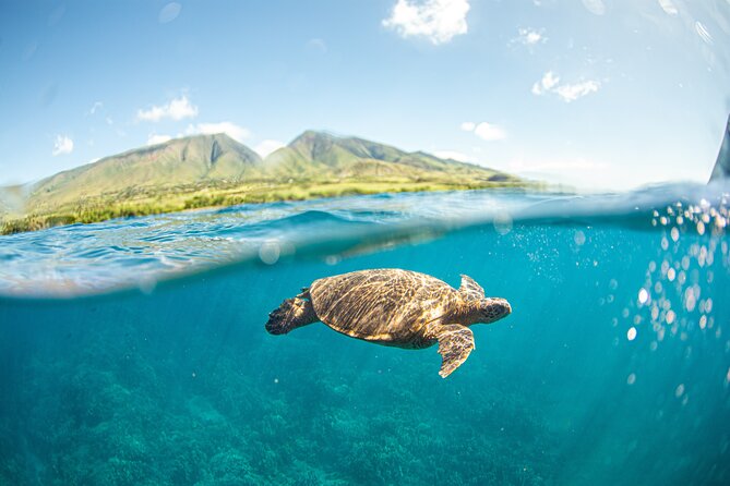 Snorkel Sail Adventure off Ka'anapali Beach, Maui - Why the Crew Matters Here