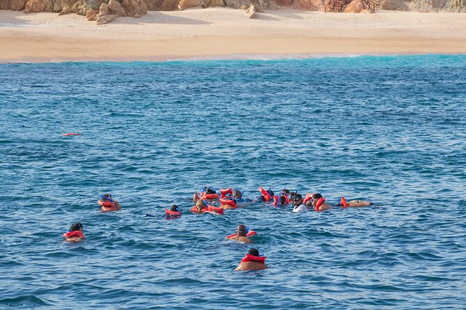 Snorkel & Sunset Sail in Cabo San Lucas - Timing, Weather, and Group Size