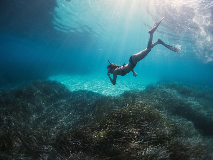 Snorkelling & Sailing In Crete’s Hidden Coastal Gems - The ride along Malia and Stalida