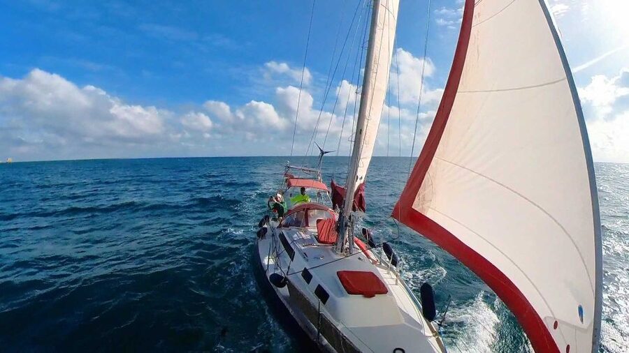 Sotogrande: Private Sailing Tour + Drink (For Groups) - A swim stop when the sea allows
