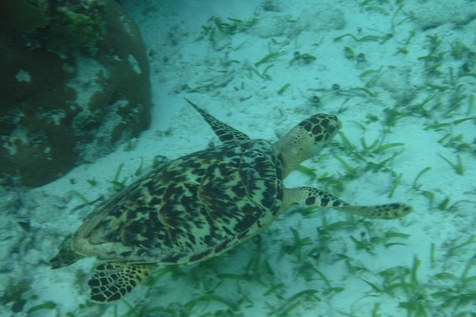 St John & Surrounding Cays - Full-Day Sail/Snorkel, 6 Guests Max - What the small boat changes