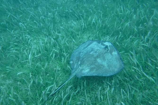 St John & Surrounding Cays - Full-Day Sail/Snorkel, 6 Guests Max - Is $245 a fair price?