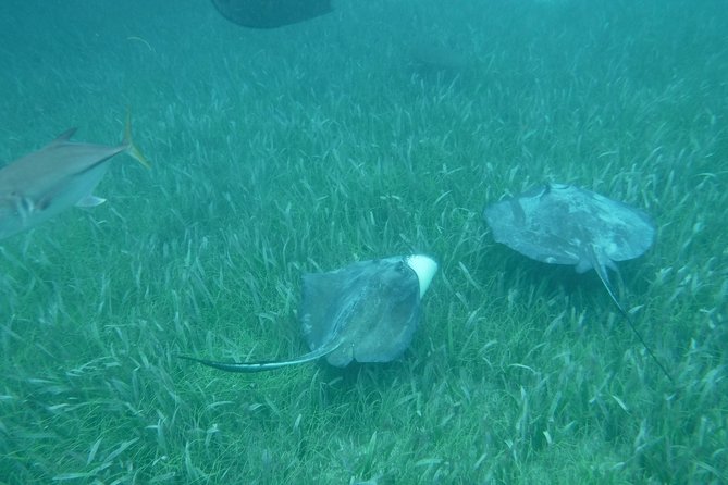 St John & Surrounding Cays - Full-Day Sail/Snorkel, 6 Guests Max - Cruise ship timing needs careful attention