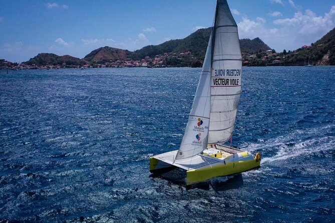 Stroll and Initiation to Sailing in the Baie des Saintes - Key points to know before you book