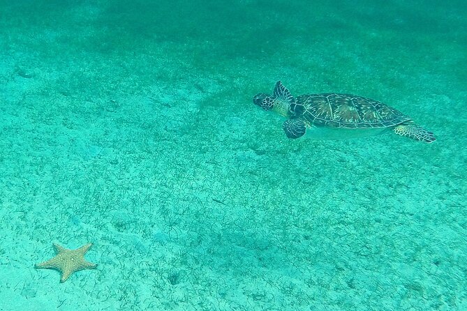 Stroll and Initiation to Sailing in the Baie des Saintes - What helping with the catamaran is really like