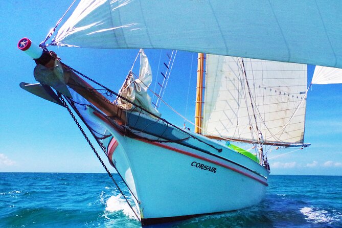 Sunset & Champagne Cruise on a Classic Schooner with boat dogs - Key points to know before you book