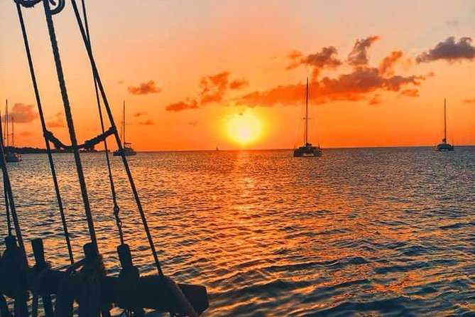 Sunset & Champagne Cruise on a Classic Schooner with boat dogs - A classic schooner with a relaxed social feel