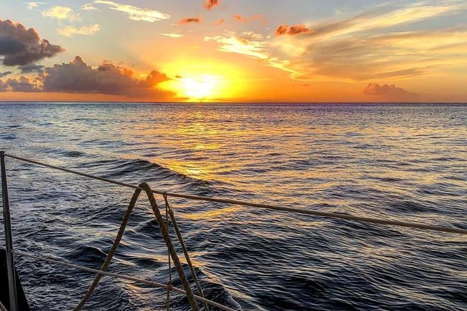 Sunset & Champagne Cruise on a Classic Schooner with boat dogs - Sailing power can vary by departure