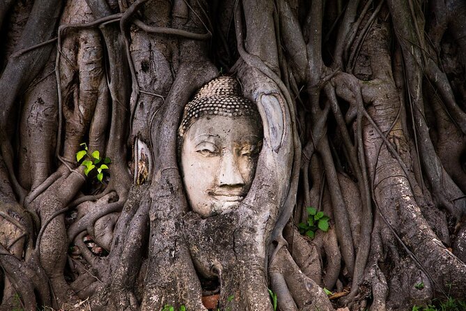 Sunset Sail, Glittering Tempels at Afternoon Ayutthaya Tours - Why an afternoon trip works well in Ayutthaya