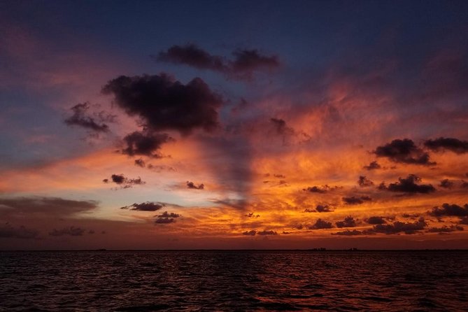 Sunset Sail in Miami: Complimentary Champagne Toast - The sunset views are the real attraction