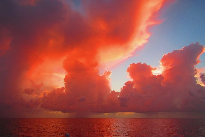 Sunset Sail in Miami: Complimentary Champagne Toast - Is the $99 price fair?
