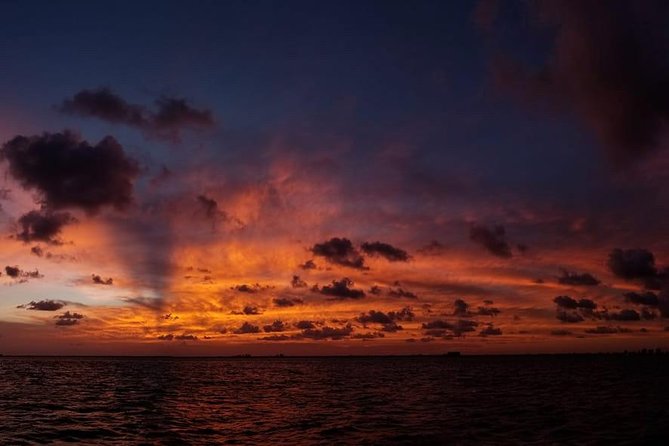 Sunset Sail in Miami: Complimentary Champagne Toast - The route depends on wind and weather