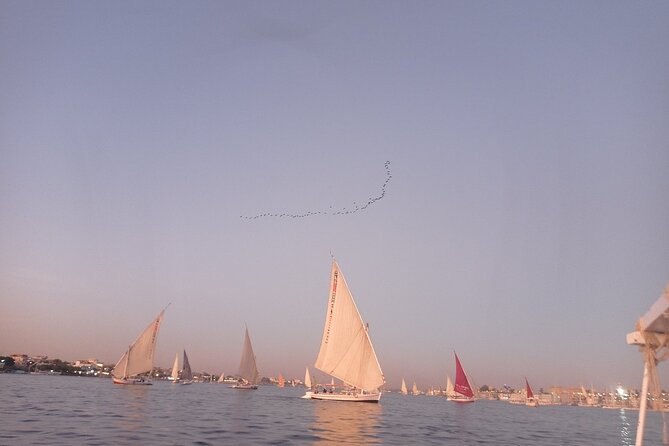 Sunset sailing by Felucca in Luxor -2 Hours (Private) - Why a felucca works so well at sunset