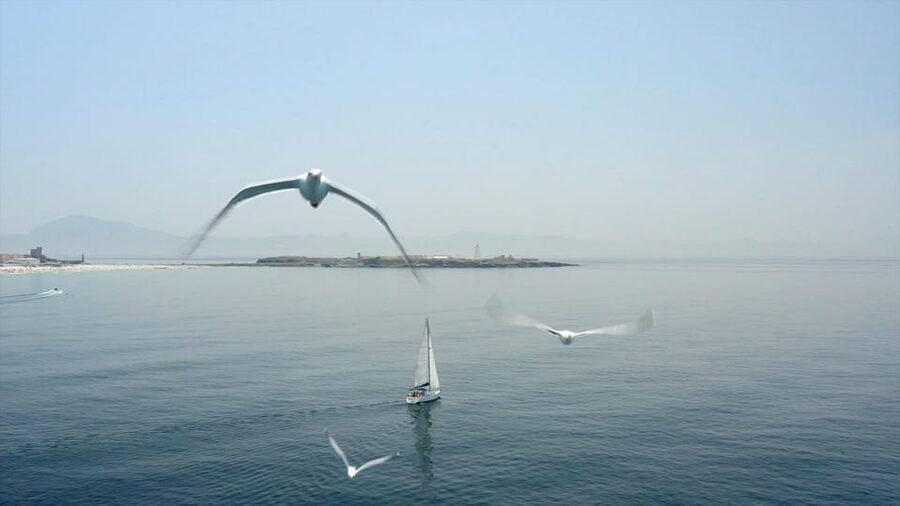 Tarifa: Sailboat Tour, Snorkelling, Tapas & Drinks - What to bring and who should book