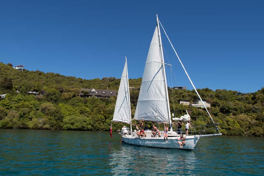 Taupō: Sail Barbary Eco Sailing to the Maori Rock Carvings - How the Guides Shape the Experience