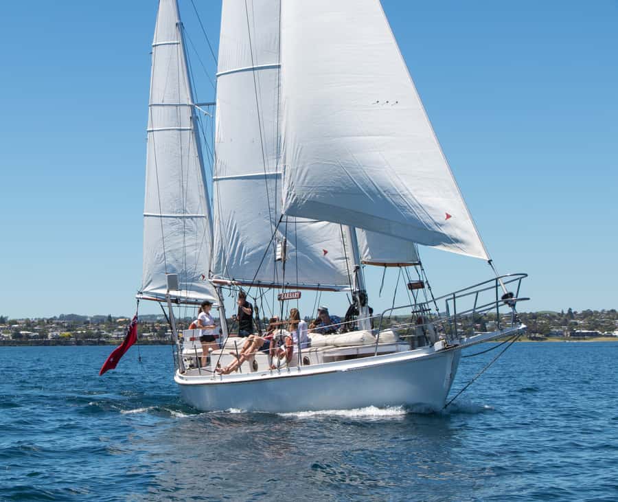 Taupō: Sail Barbary Eco Sailing to the Maori Rock Carvings - Weather, Wind, and the Backup Boat