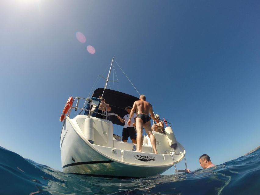 Tenerife: Private or Group 3 Hour Sailing Cruise with Drinks - What to bring and how to plan the day