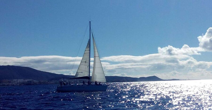 Tenerife: Private or Group 3 Hour Sailing Cruise with Drinks - Who will enjoy this cruise most