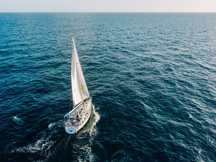 Tenerife: Sailboat Tour Whale Watching Food and Snorkeling - A small boat, close wildlife, and a calmer pace