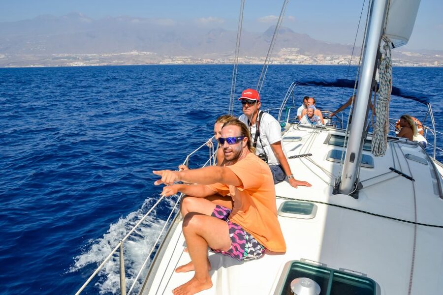 Tenerife: Sailboat Tour Whale Watching Food and Snorkeling - Comfort, seasickness, and what to bring