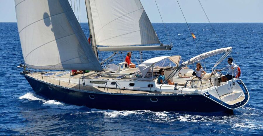 Tenerife: Sailing Excursion with Whale and Dolphin Watching - A quieter way to watch Tenerife’s whales
