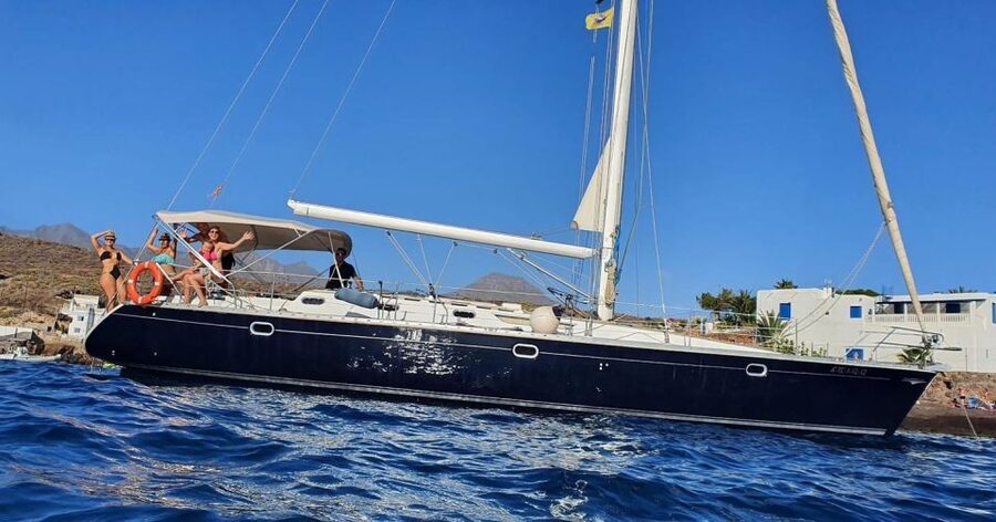 Tenerife: Sailing Excursion with Whale and Dolphin Watching - Swimming and snorkeling in a sheltered bay