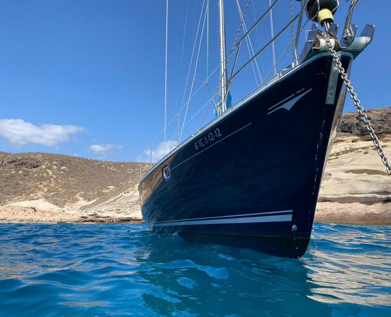 Tenerife: Sailing Excursion with Whale and Dolphin Watching - What the $88 price really buys you