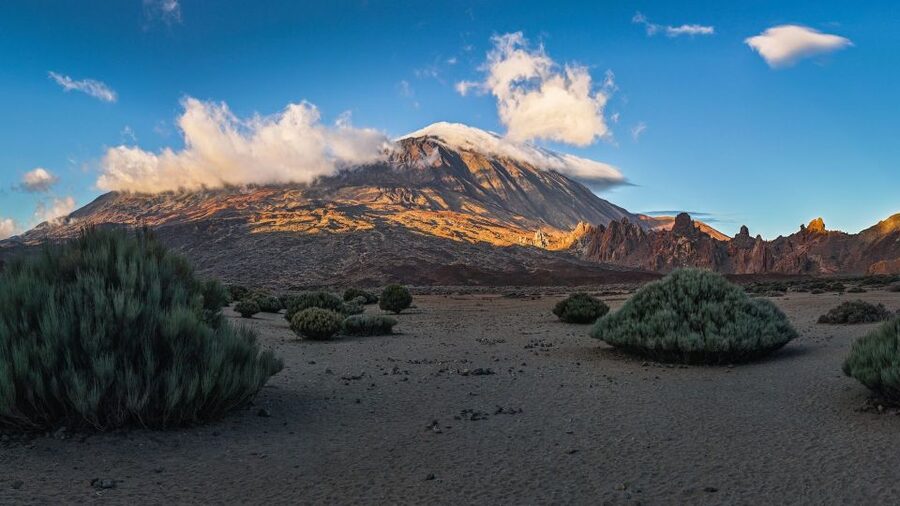 Tenerife: Teide National Park and Dolphins Sailboat Tour - Key points to know before booking