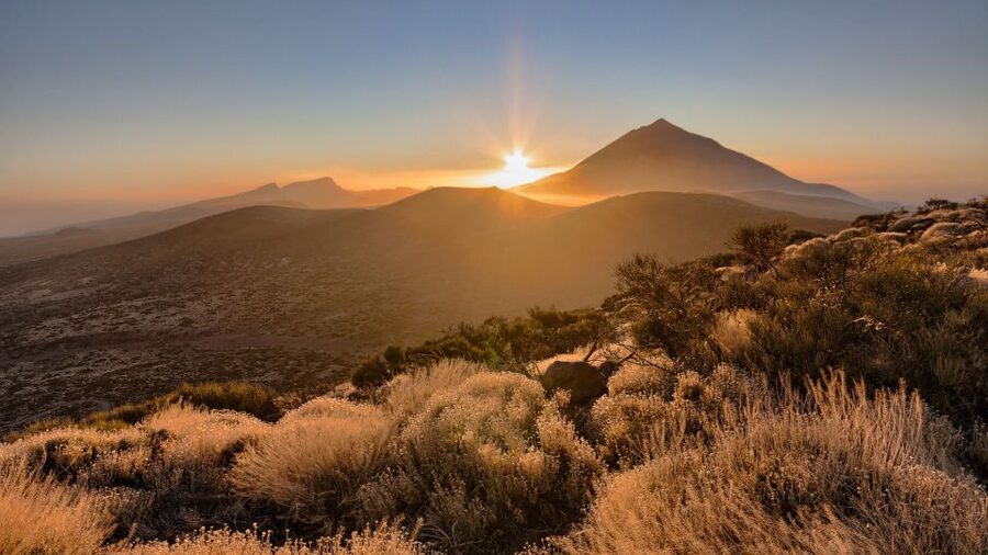 Tenerife: Teide National Park and Dolphins Sailboat Tour - The change from lava to the south coast