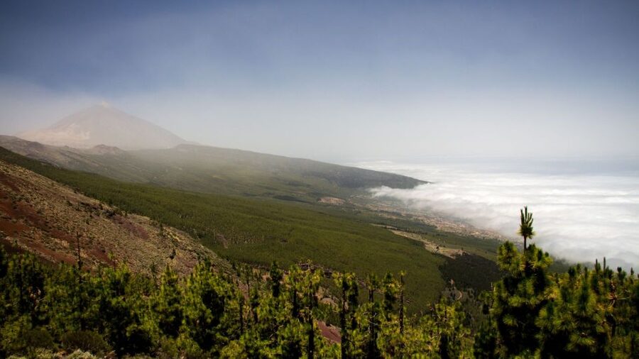 Tenerife: Teide National Park and Dolphins Sailboat Tour - Is $218 a fair price?