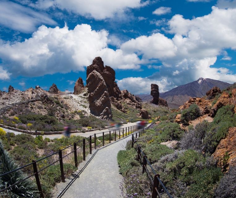 Tenerife: Teide National Park and Dolphins Sailboat Tour - Who will enjoy this day most