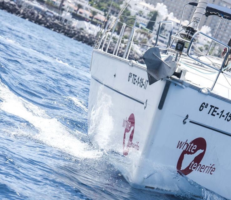 Tenerife: Whale and Dolphin Watching Tour by Sailboat - Practical details before you book