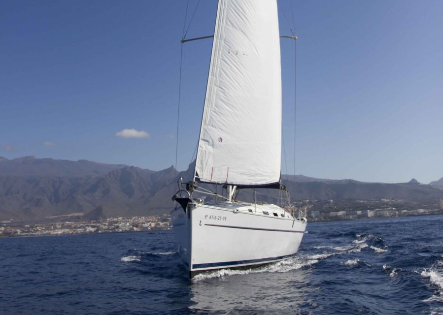 Tenerife: Whale and Dolphin Watching Tour by Sailboat - Setting out from Puerto Colón