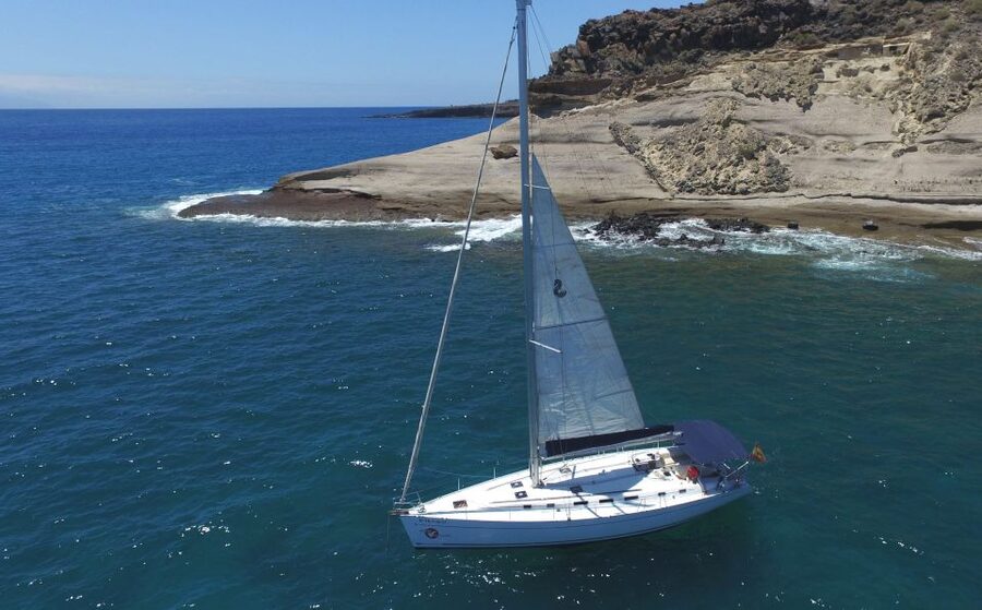 Tenerife: Whale and Dolphin Watching Tour by Sailboat - What you might see on the water