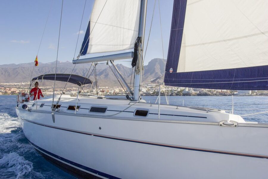 Tenerife: Whale and Dolphin Watching Tour by Sailboat - Food, drinks, and time on deck