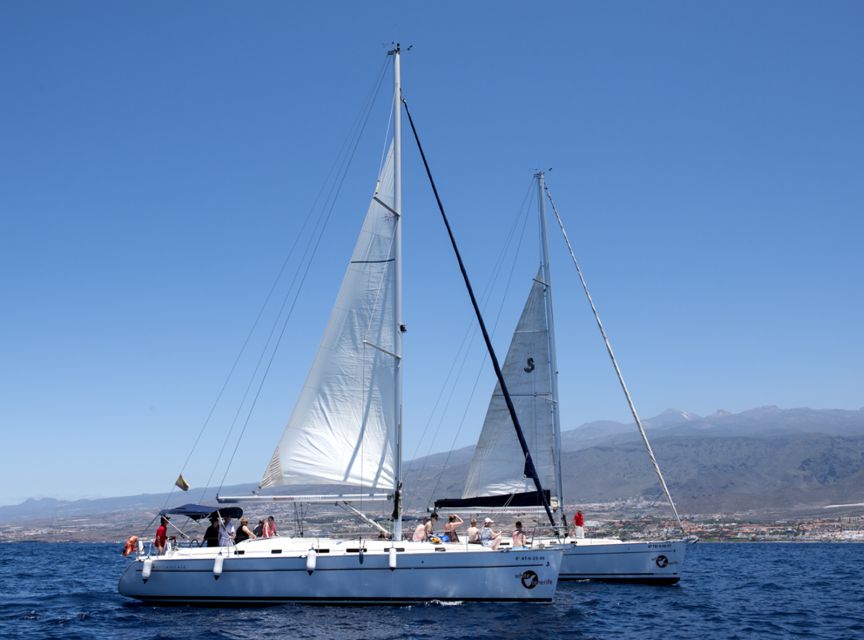 Tenerife: Whale and Dolphin Watching Tour by Sailboat - The crew makes the difference